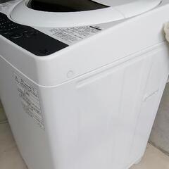 美品】[配達無料]全自動洗濯機 5kg 東芝 AW-5G6 2019年製 動作