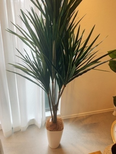 観葉植物（フェイクグリーン）