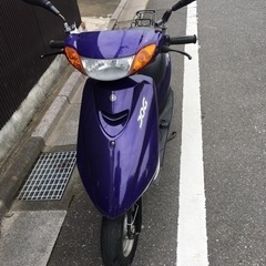 JOG紫
