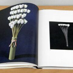 日本の伝統パッケージ 岡秀行 美術出版社 1965年発行 札幌 西区 西野 日本の伝統パッケージ 岡秀行 美術出版社 1965年発行 札幌 西区 西野