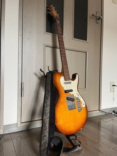 【付属品4点付】エレキギター　AriaProⅡ