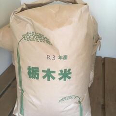 コシヒカリ⑤　玄米３０ｋｇ　生産直売（令和３年産　生産地：栃木県...