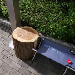 杉の丸太のテーブル