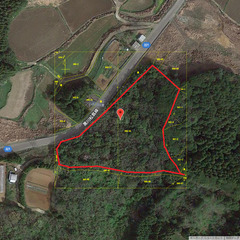 伊万里市山林  約１９５１坪 サバイバルキャンプ可 公道に接面