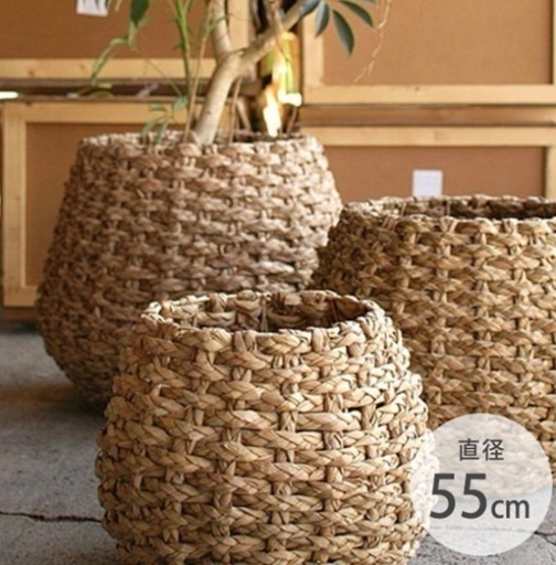 観葉植物 12号用鉢カバー ステム ラッシュ バスケット インテリア 大型
