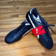 パラメヒコの中古が安い！激安で譲ります・無料であげます｜ジモティー 