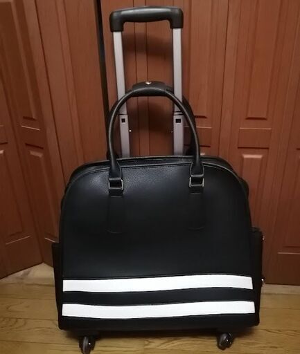 1回使用のみ　 ラインボストン型キャリーBAG