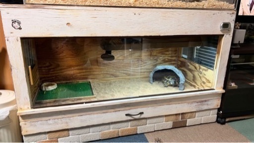 リクガメ　ケージ