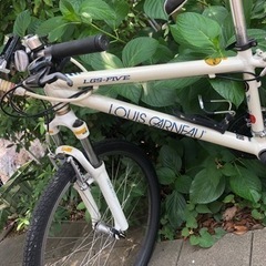 値引きしました！ルイガノ自転車（小学生高学年）トランクキャリー付き