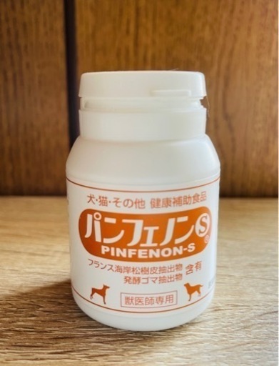 パンフェノンS 88錠