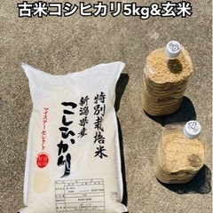 古米コシヒカリ5kg&玄米