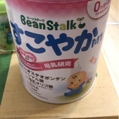 🔥激安🔥ビーンスターク(雪印)・粉ミルク【800g✖️2缶】