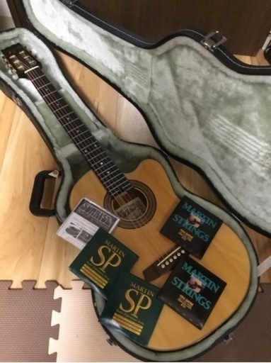 その他 ARIA Erectric Accoustic guitar