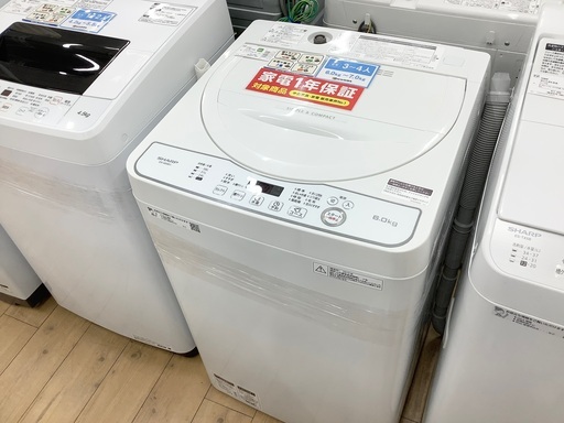 SHARP（シャープ）2019年製全自動洗濯機6kgのご紹介です！！