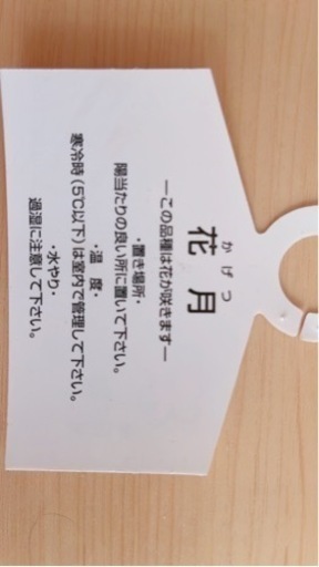 華花月 多肉植物(送料込みの値段)