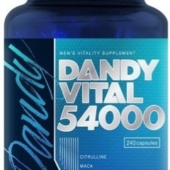 【ネット決済・配送可】【新品・未開封】DANDY VITAL 5...