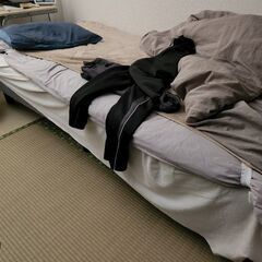 ニトリ製シングルベッド