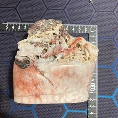 中国　玉石彫刻 1/21値下げしました。