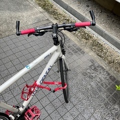 クロスバイク（ルイガノ）