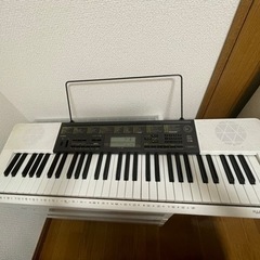 CASIO 電子ピアノ キーボード