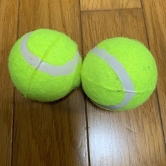 テニスボール2個