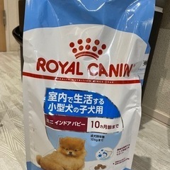 ロイヤルカナン ミニインドアパピー