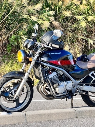 バリオス1型