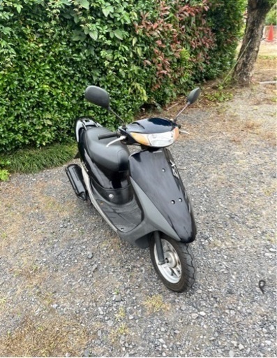 334. 動画あり ホンダ ライブディオZX仕様 原付 バイク 50cc 車体