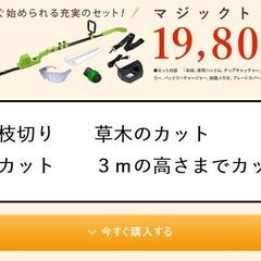 ■19800円から値下げ■３ｍの高さまで切れる■高枝から足元の草...