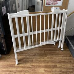 ダトニオ 太いバント 約26cm 発色よし 最終価格 値引き済