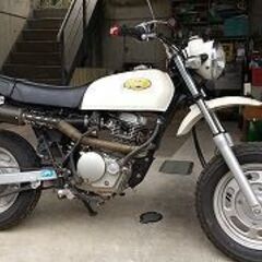 HONDA ape100　