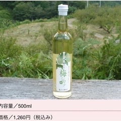 伊豆月ヶ瀬梅組合 梅シロップ 500ml