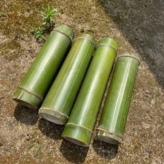 孟宗竹の中古が安い 激安で譲ります 無料であげます ジモティー
