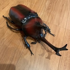 カブトムシ