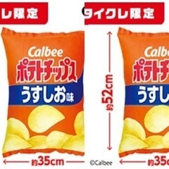 2点セット　8,000円から値下げ！！！