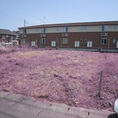 区画整理済みの静かな住宅地です。