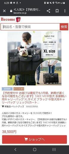 ペット カート バギー リュック