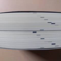 判例六法 有斐閣 平成21年版（2009）