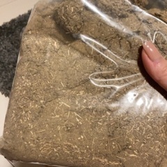 中古よもぎ蒸し