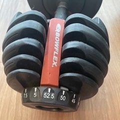 可変式ダンベル（台付き）BOWFLEX