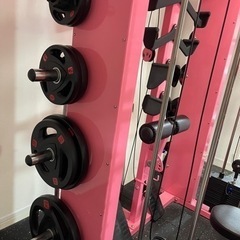 分解済み！豪華！ピンク色トレーニングマシン （ベンチプレス・懸垂・パワーラック） 