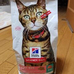 猫ちゃんのカリカリ（Hill's サイエンスダイエット）