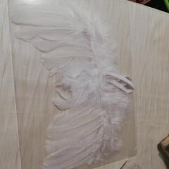 天使の羽 バースデーフォト