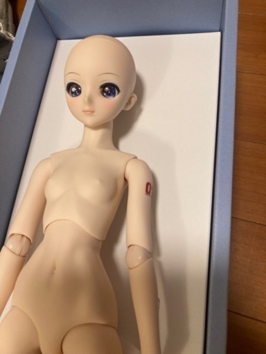 DD 雪ミク　reboot ドルフィードリーム ボークス ボカロ