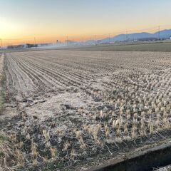 まだまだお待ちしてます！！立地抜群　枝豆ほか、なんでもお作り下さ...