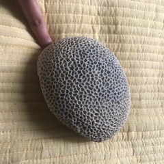 奄美大島の珊瑚石です。
