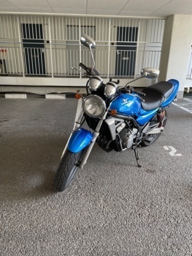 バリオス2  250 良好！