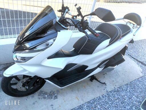 PCX JF81  ※自賠責令和9年2月  (パールジャスミン) PCX JF81 ※自賠責令和9年2月 (パールジャスミン)