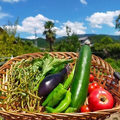 【岐阜】農業/家庭菜園/発酵食品に興味ある方の画像