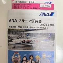 【ネット決済】全日本航空(ANA) 株主優待 搭乗券 ×2枚